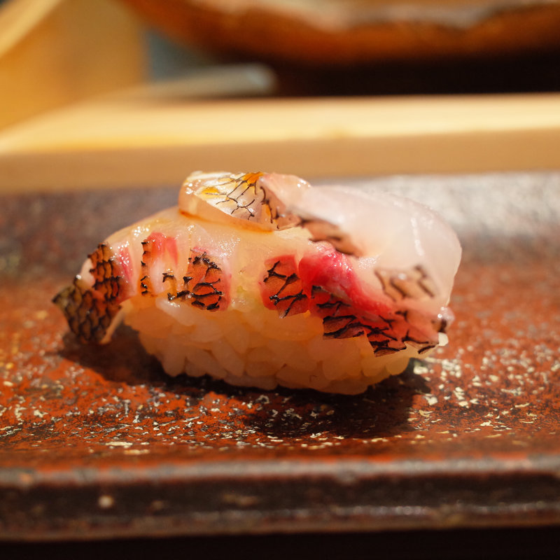 イサキ(すし匠)