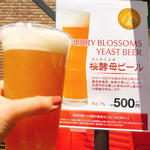 桜酵母ビール
