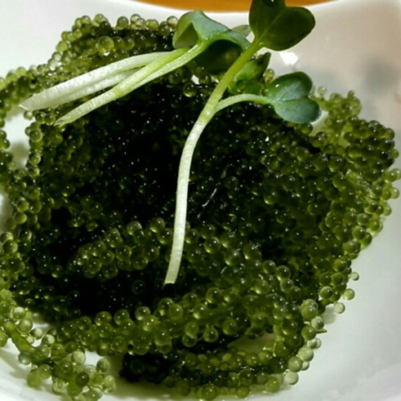 海ぶどう(どてっぺん )