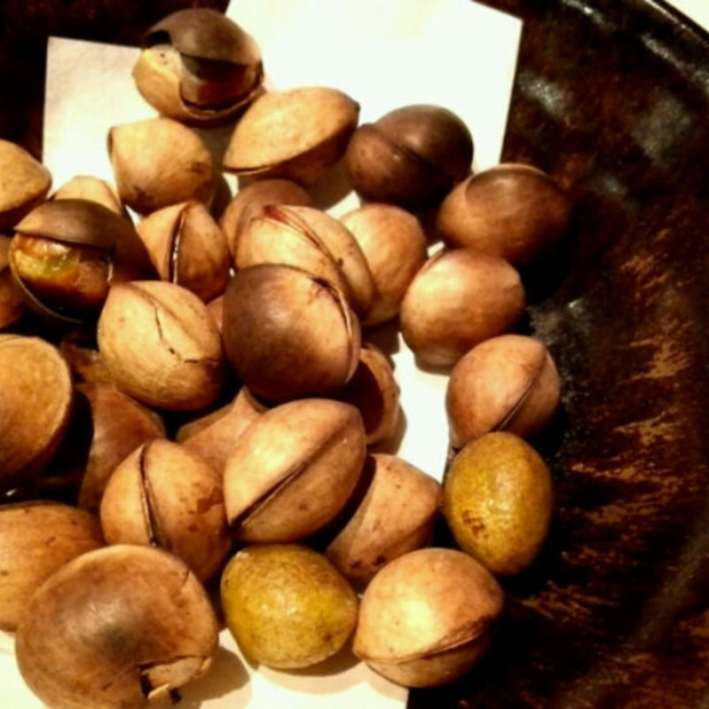 焼銀杏(からく )