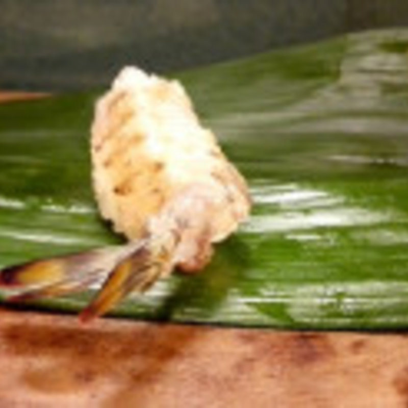 活き車海老(天狗櫻)