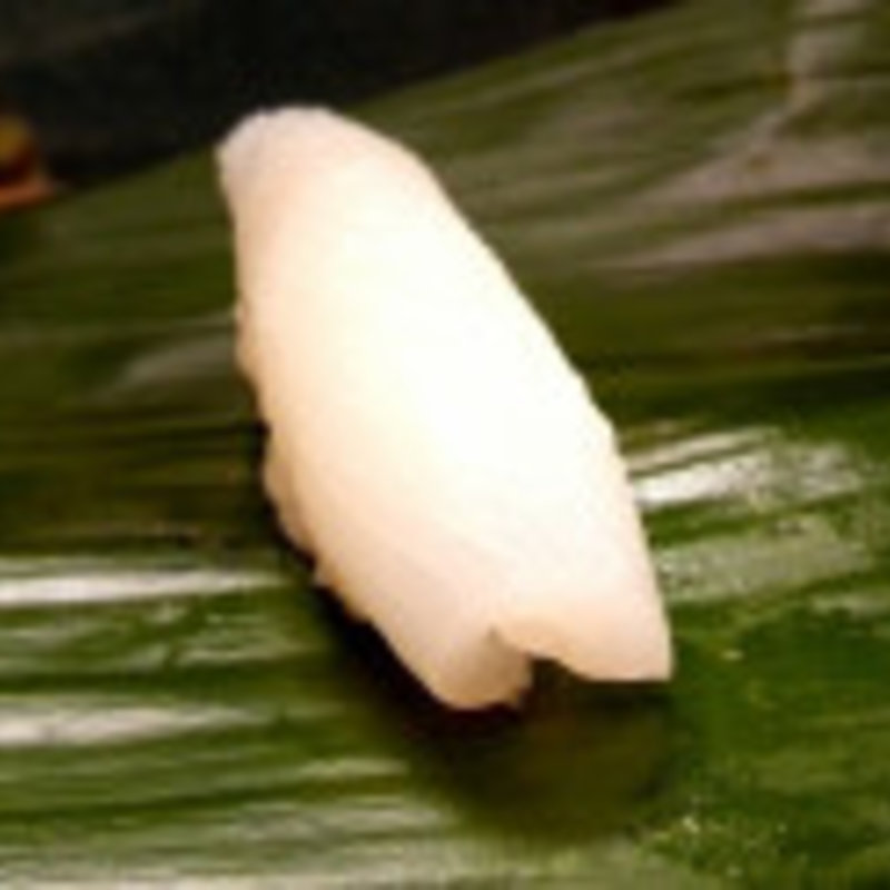 剣先イカ(天狗櫻)