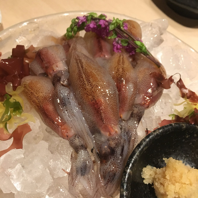 ホタルイカ刺身(靜月 )