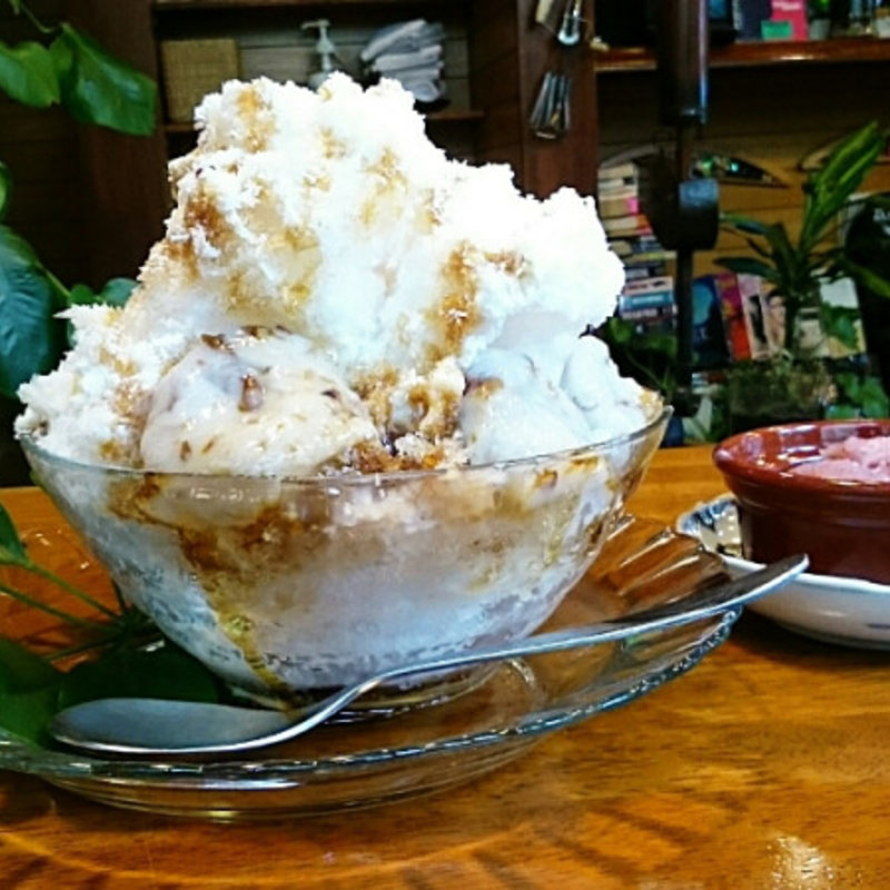 まっこりココナツ(いちょうの木 )