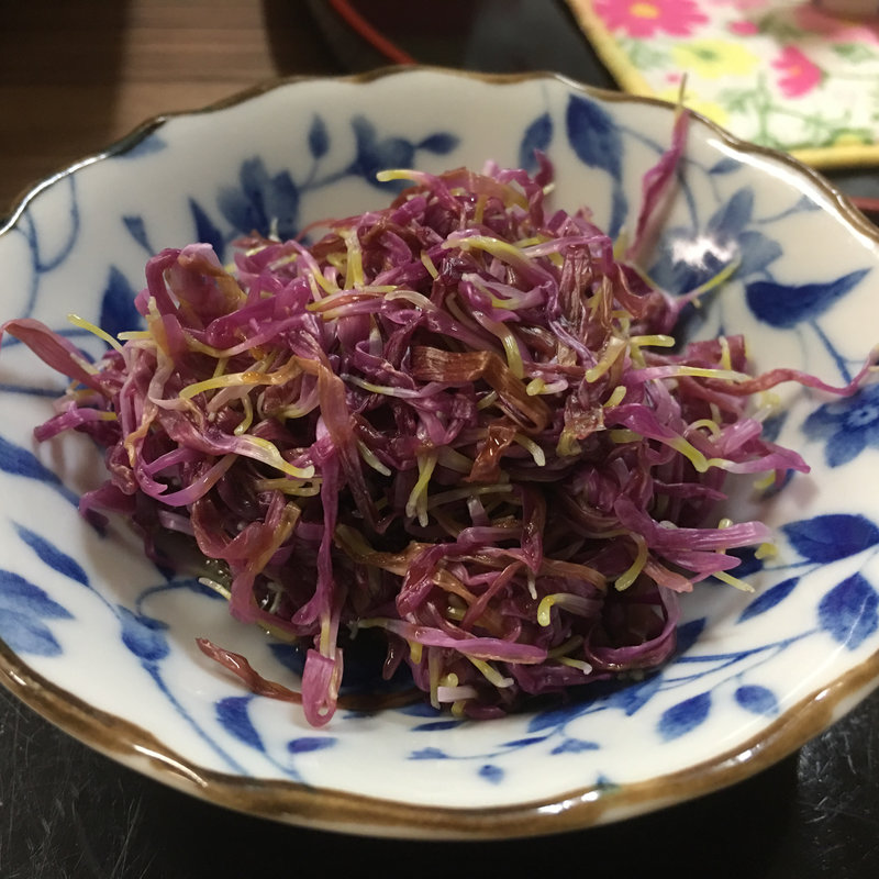 菊の花(きのちゃん家 )