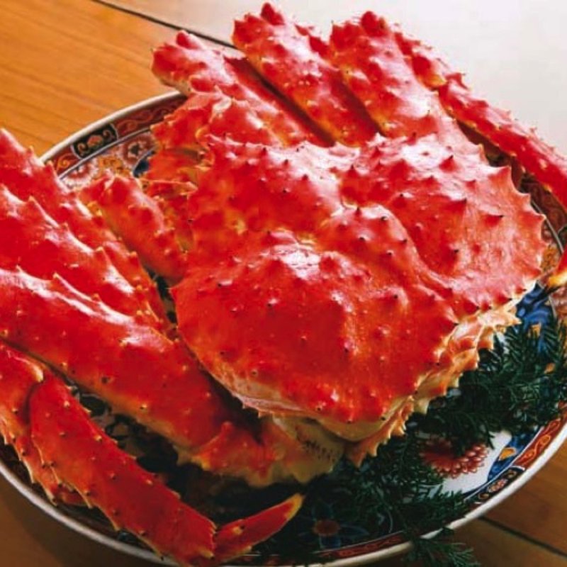 姿たらば特大(愛知屋)