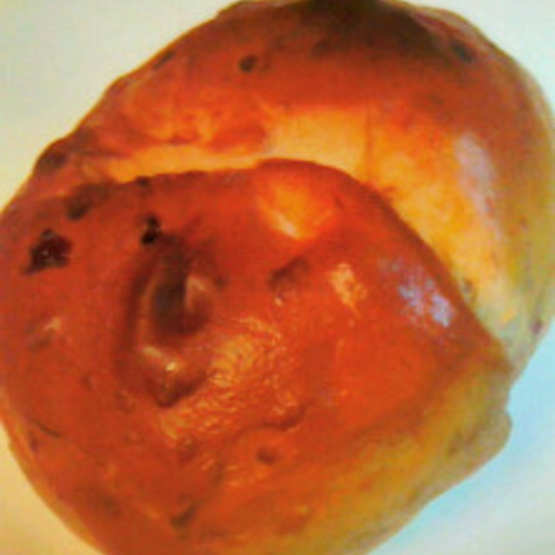 クランベリーベーグル(ベイクショップ （BAKE SHOP）)