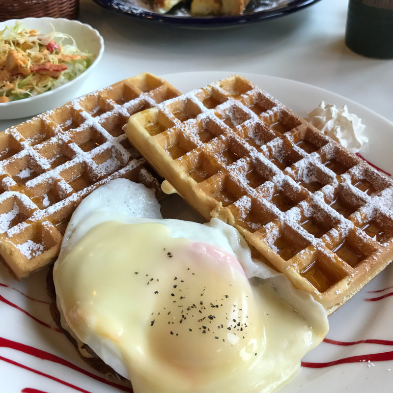 トニースペシャル(オキザリス )