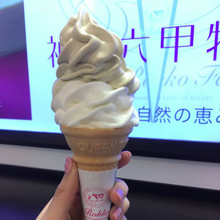 ピスタチオMIXソフトクリーム(神戸六甲牧場 神戸空港店 )