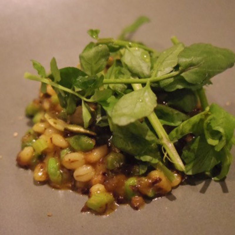 旋律:大麦・牛・クレソン・グリーンピース(SALONE 2007)