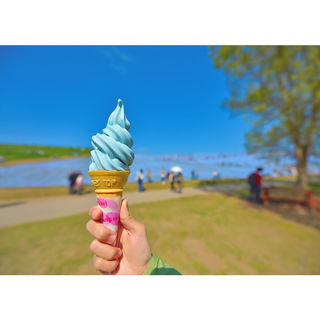 ネモフィラソフト(ひたち海浜公園中央口売店 )