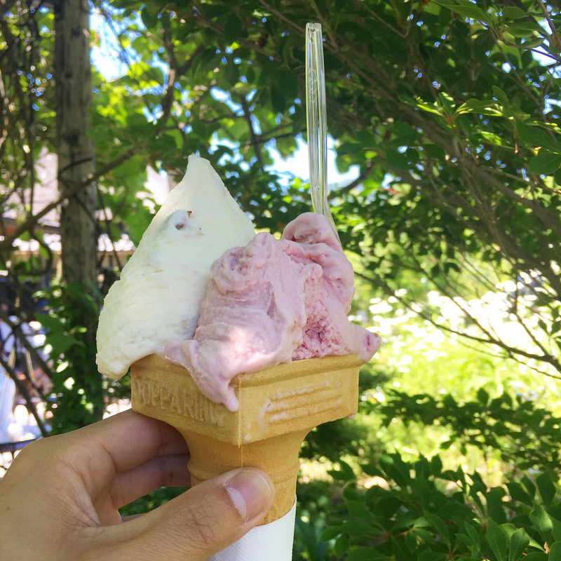 ジェラート・コン・カフェ(池田牧場)