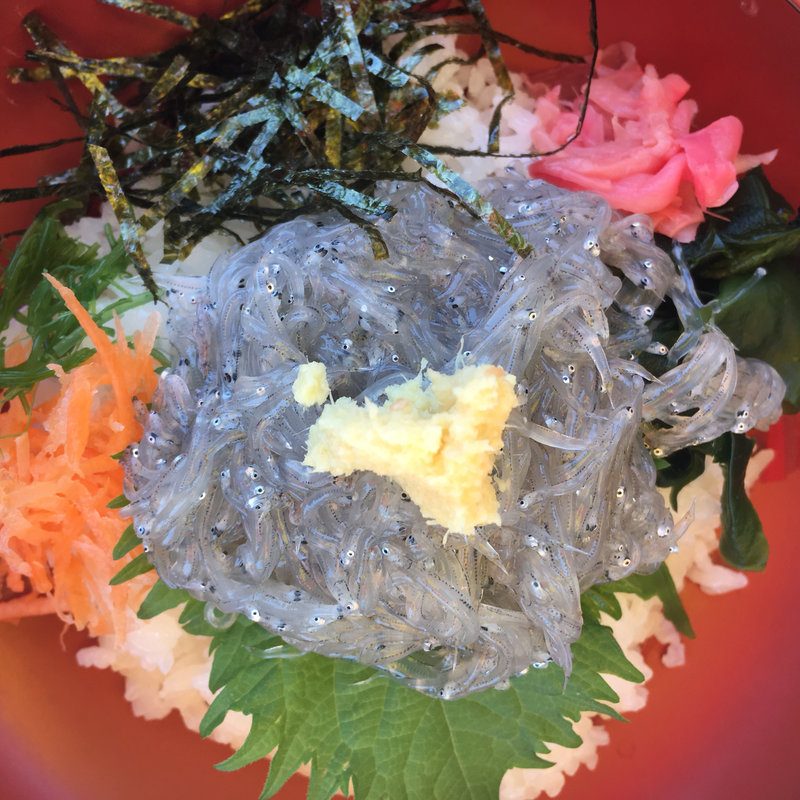 生しらす丼(弁天茶屋)