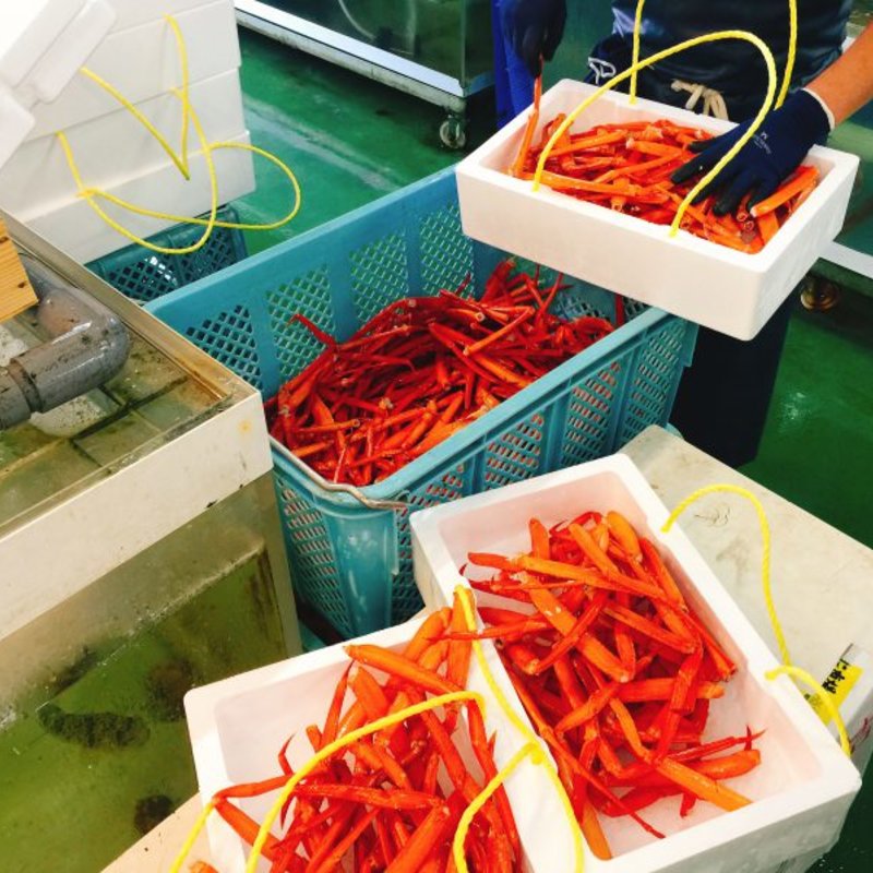 カニ詰め放題(にしとも かに市場 )