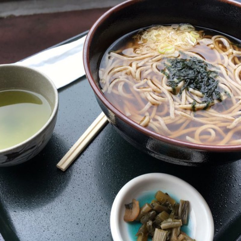 かけ蕎麦(お食事処　巴 （道の駅　日義木曽駒高原　ささりんどう館内　ともえ）)