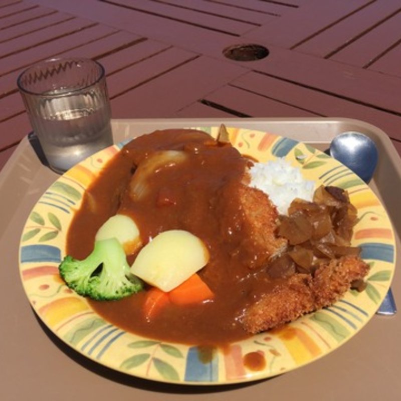カツカレー(東北福祉大学食堂 国見キャンパス （福祉大国見学食）)