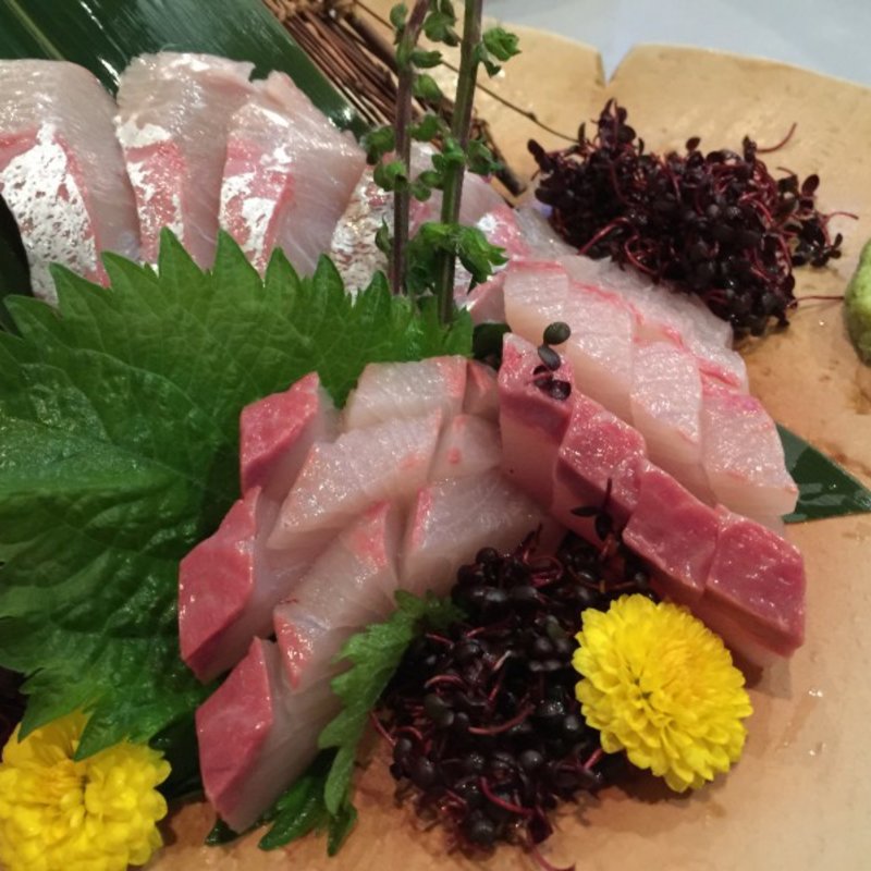 お刺身(旨み処 本丸)