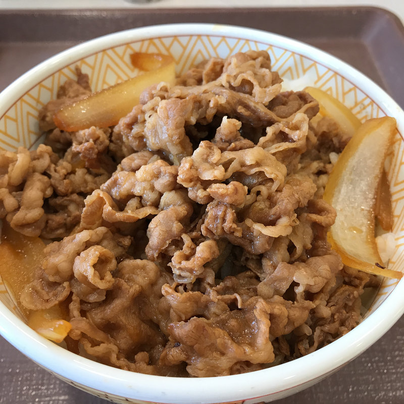 牛丼 並盛(すき家 尼崎西店 )
