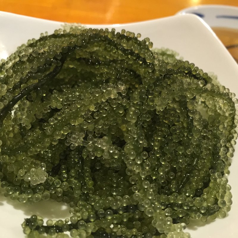 海ぶどう(くくる)