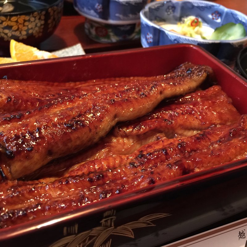うな重(鰻重)