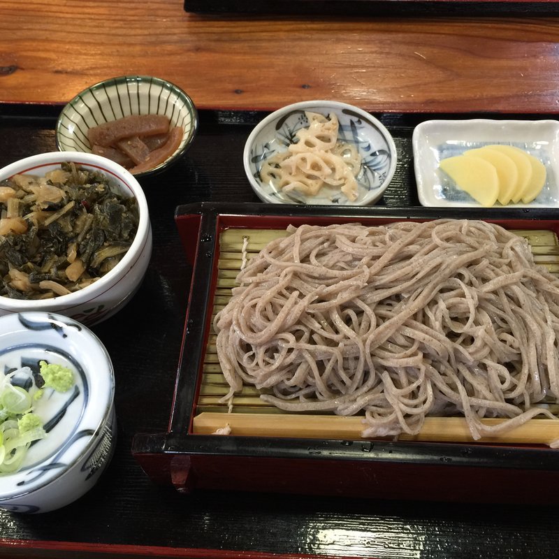 ざるそばとミニしゃくし菜丼(道の駅　大滝温泉　郷路館)