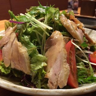 蒸し鶏のサラダ(ぢどりや　凡 松原団地本店 )