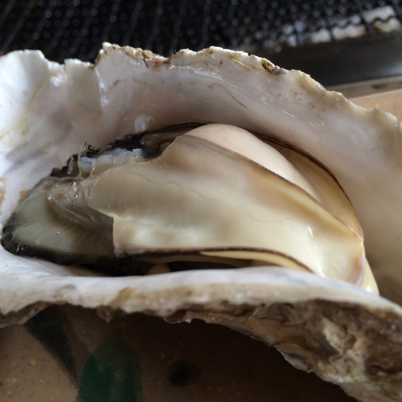 牡蠣(喰い処 鮭番屋 （しゃけばんや）)