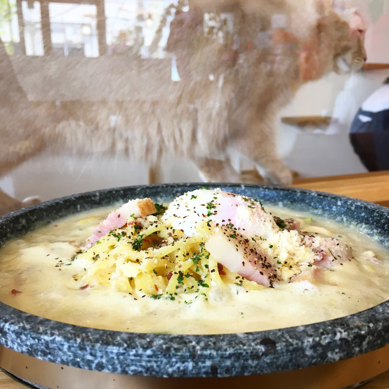 カルボナーラ(石焼cafe&cat蔵之助のしっぽ)