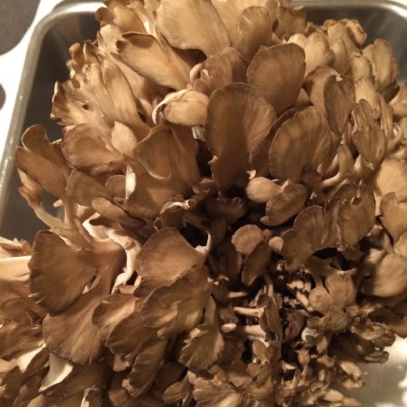 生のまいたけ(鈴木まいたけ園 )