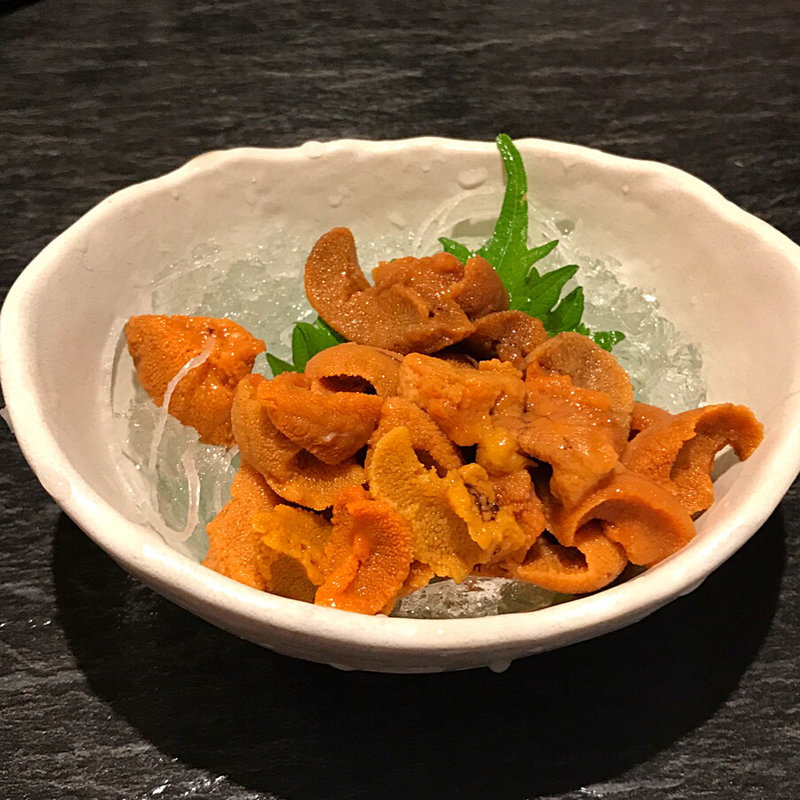 海水ウニ(かみ磯 南第5ふ頭)