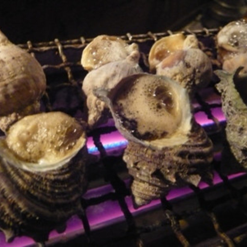 はまぐり(和光 本店 （わこう）)