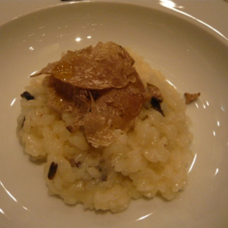 アルバ産　白トリュフのリゾット(Terres de Truffes, Tokyo （テール・ド・トリュフ東京）)