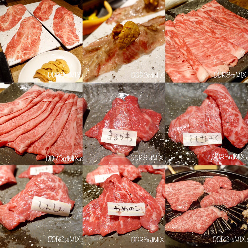 本日の焼きしゃぶコース