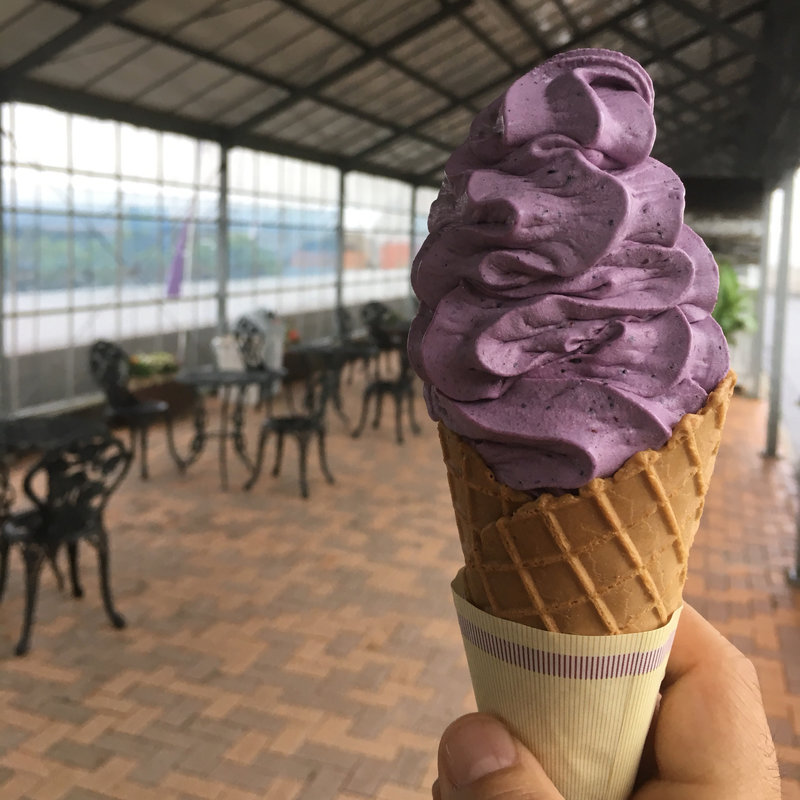 ブルーベリーソフトクリーム(観光農園ブルーベリーの村　 )