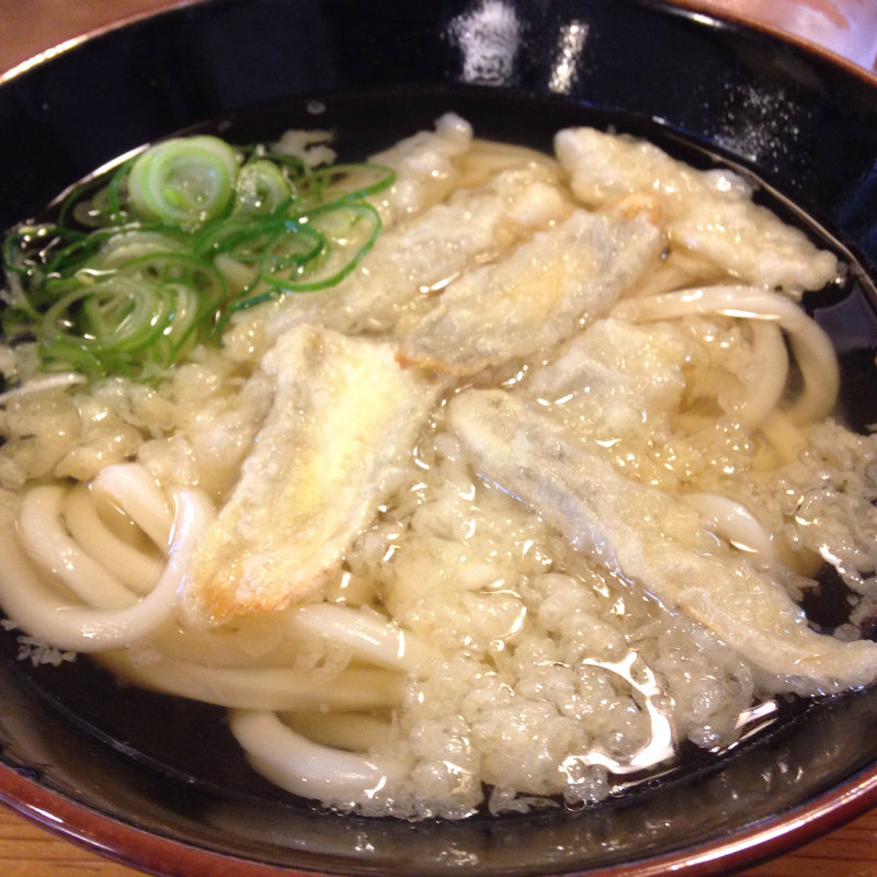 ごぼう天うどん(わらじや )