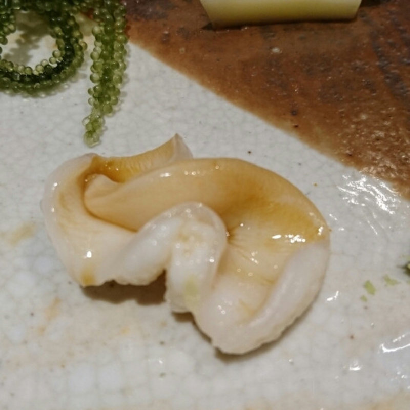 石垣貝  (すし匠齋藤)