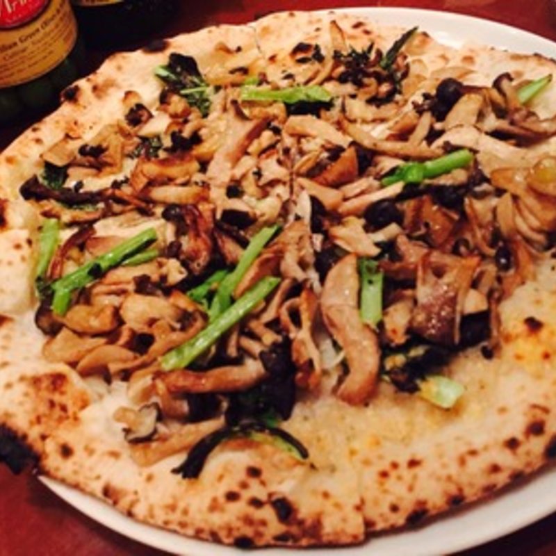 フンギ(A16 TOKYO （エーシックスティーントウキョウ）)