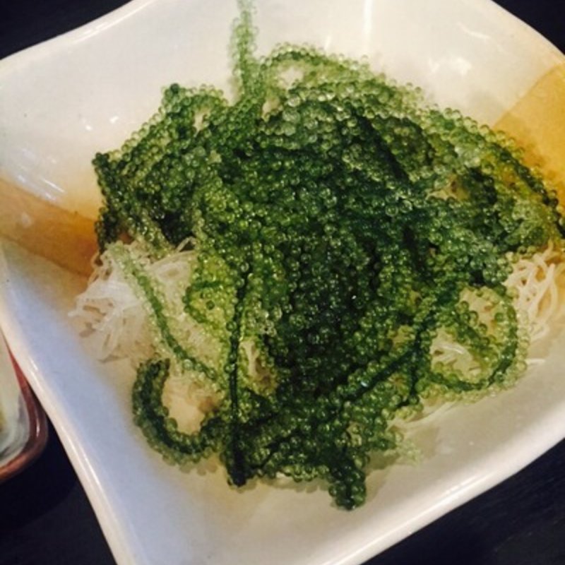 海ぶどう(うみないび )