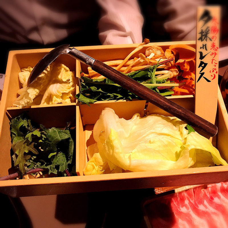 「夕採れレタス」の野菜盛り(しゃぶしゃぶ温野菜 中目黒店)