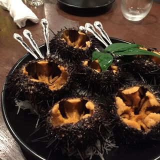 殻付きのウニ(ごっつり)