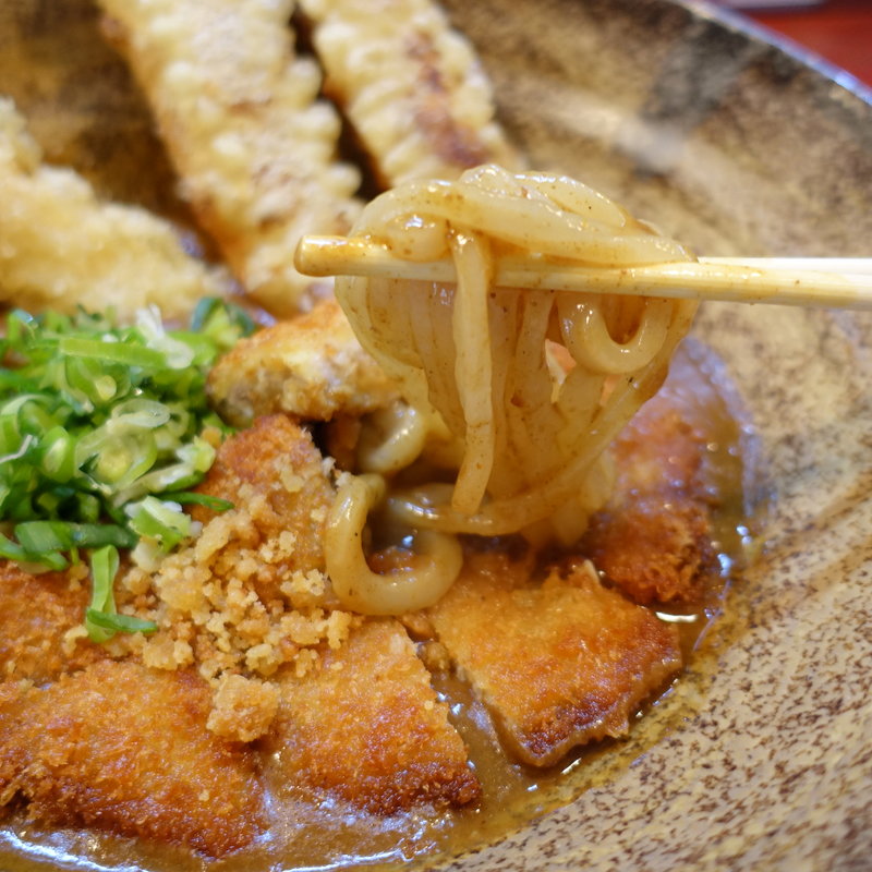 スペシャルカレーうどん