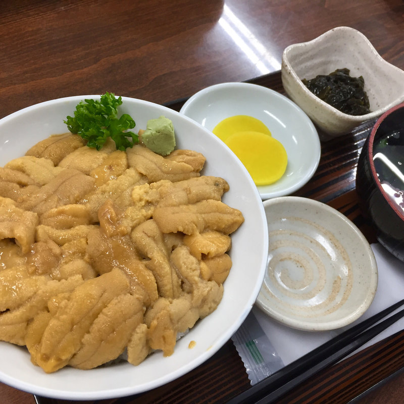 ウニ丼(食堂  うしお)