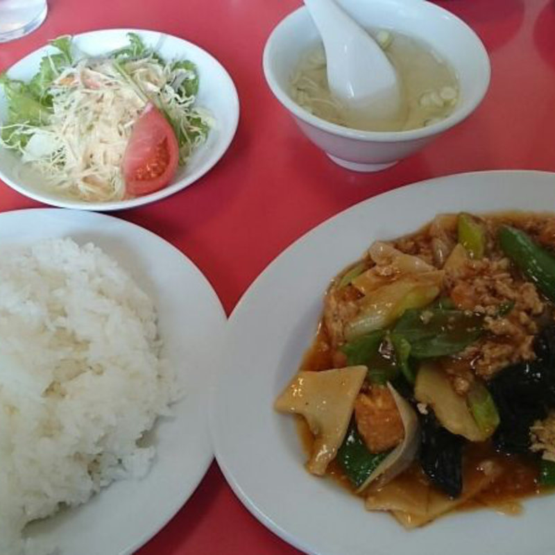 B定食(鳥ひき肉と揚げ豆腐の辛し煮)(江南春 )