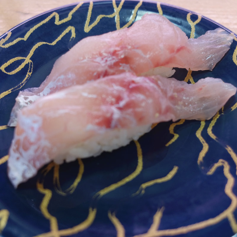 クロマツ(寿しまどか 東開店 )