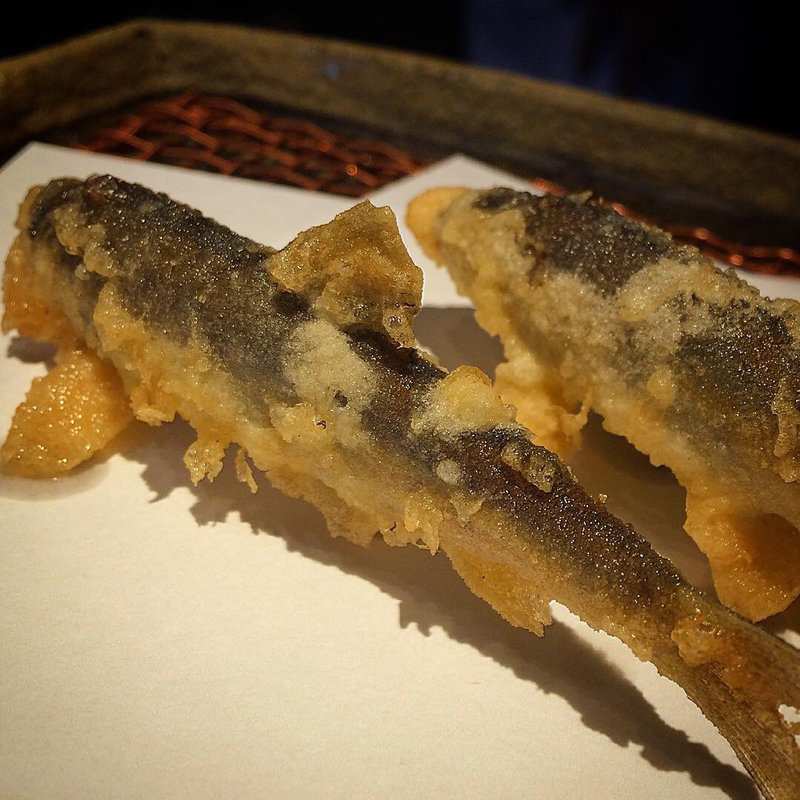 鮎(みかわ是山居)