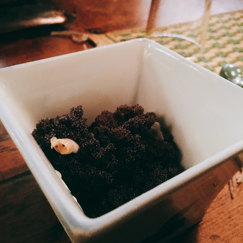 カニ外子(あんぽん)