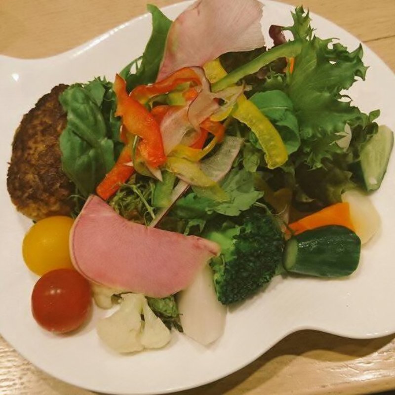 ゴロゴロ野菜の豆腐ハンバーグサラダ(ハタケカフェ)