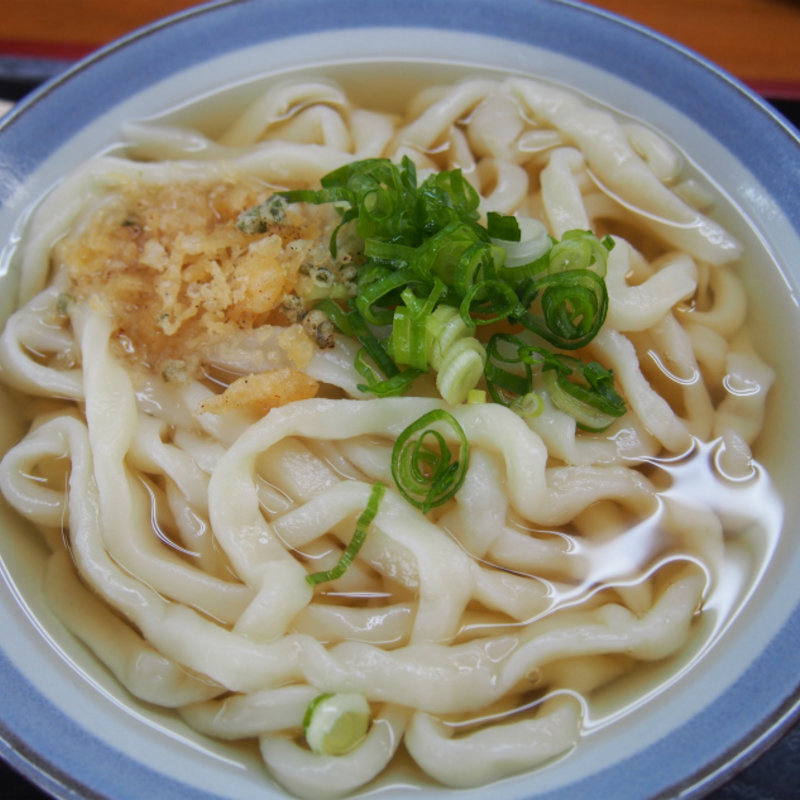 温かいかけうどん　中(純手打うどん よしや )