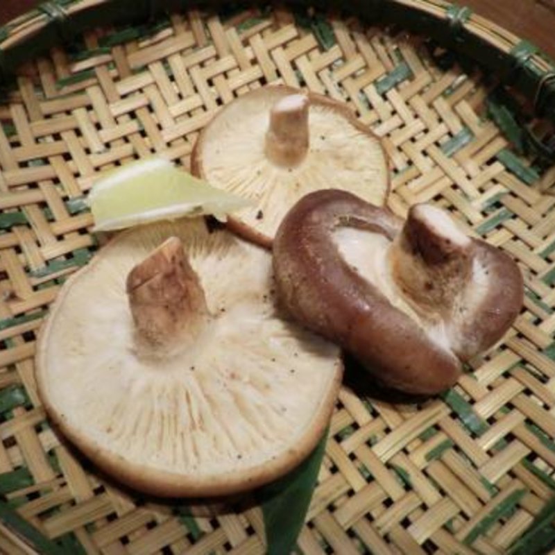 原木しいたけの焼き物(居酒屋 八風亭 )