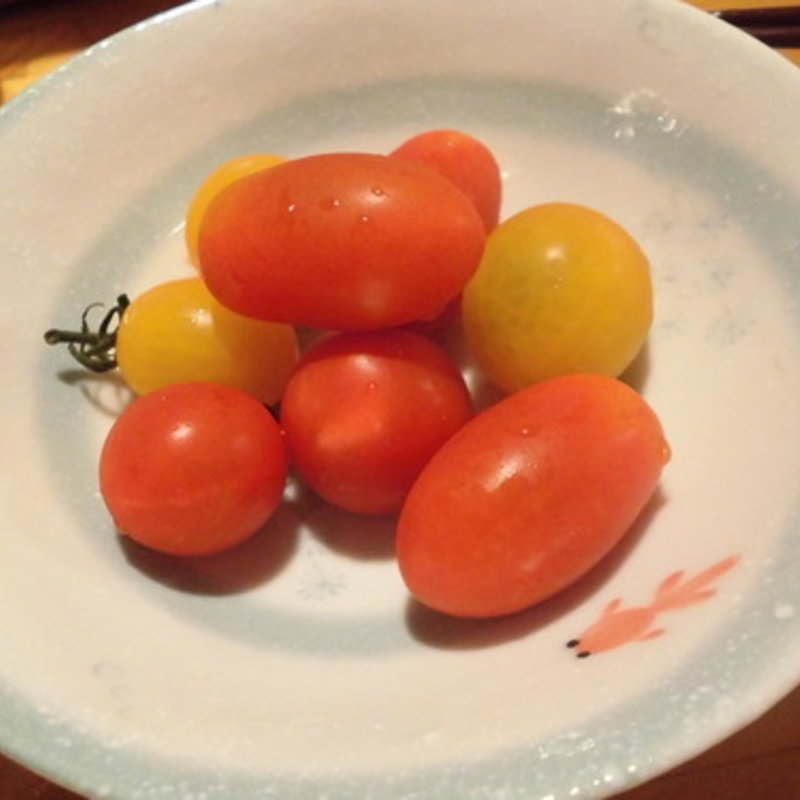 オーガニックプチトマト(茶猫食堂)